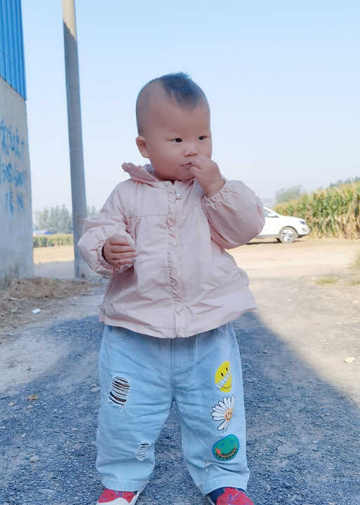 模特-