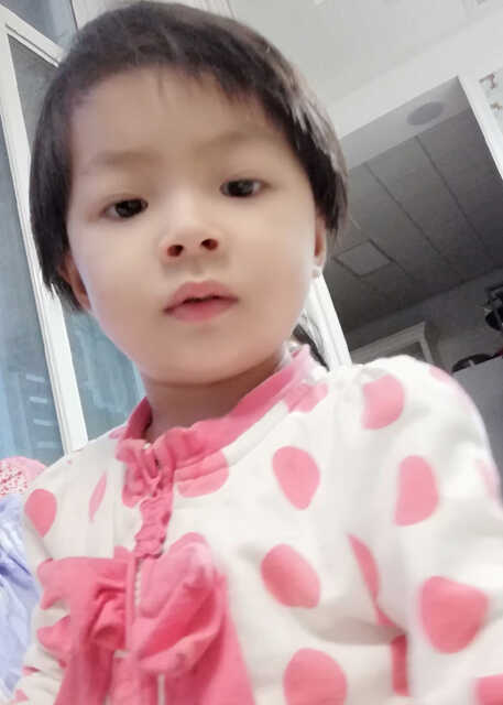 模特-