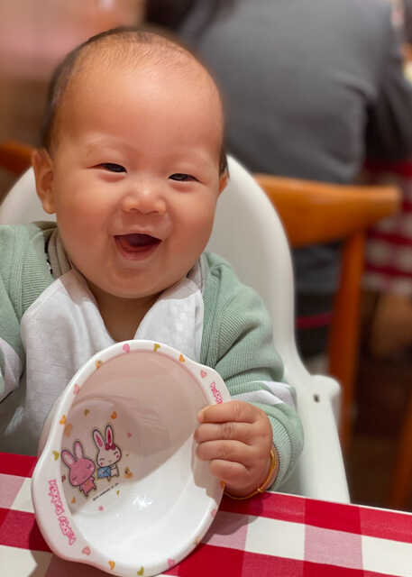 模特-