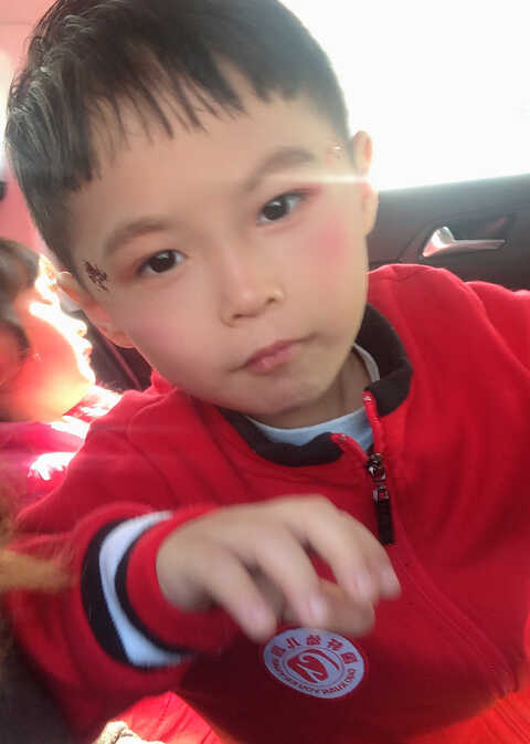 模特-