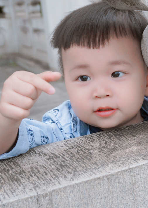模特-