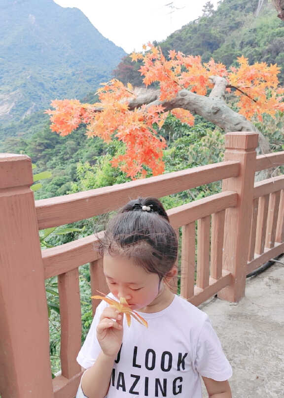 模特-