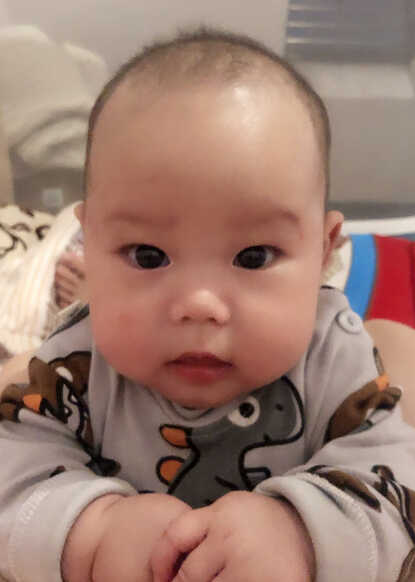 模特-