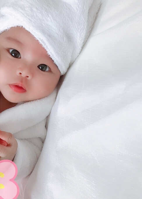 模特-