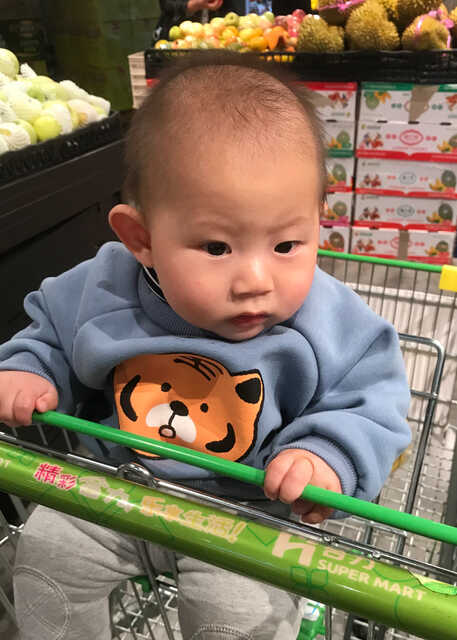 模特-