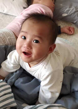 模特-