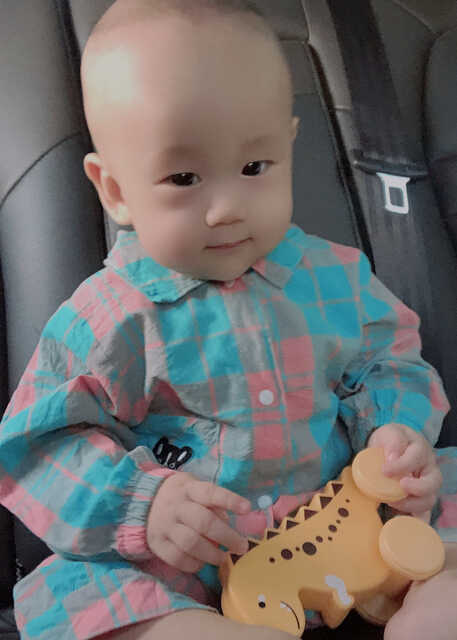 模特-
