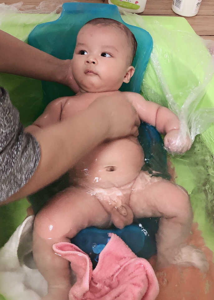 模特-