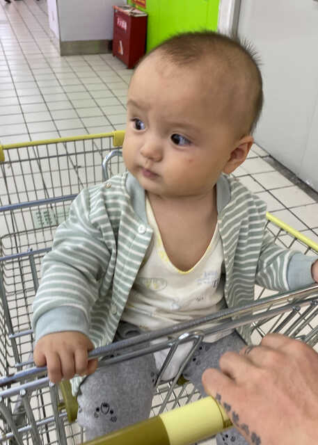 模特-