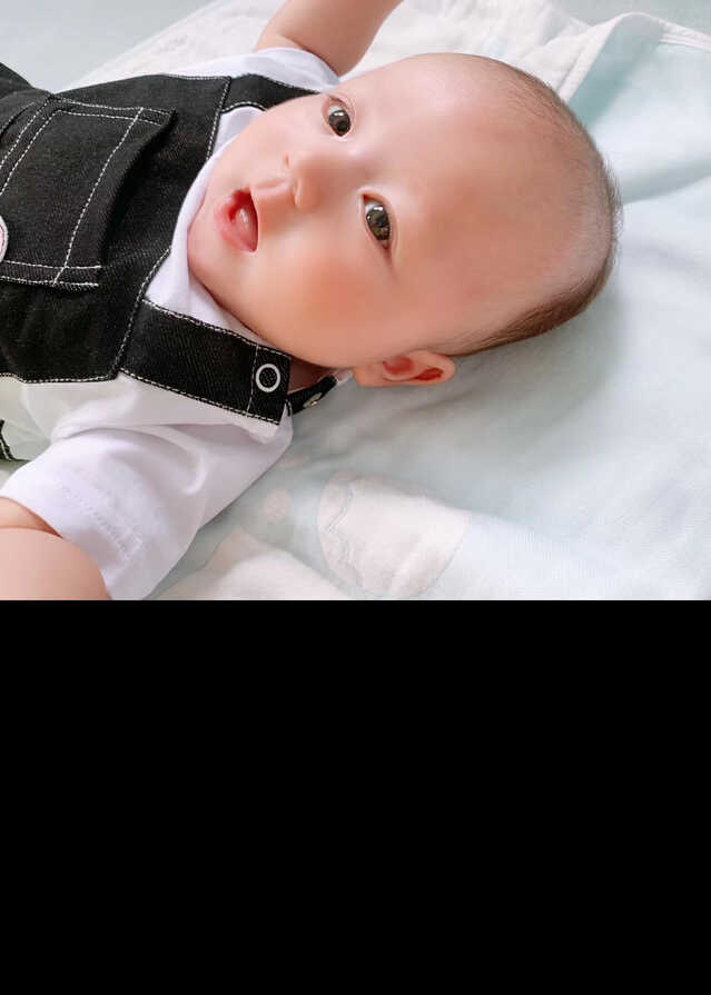 模特-