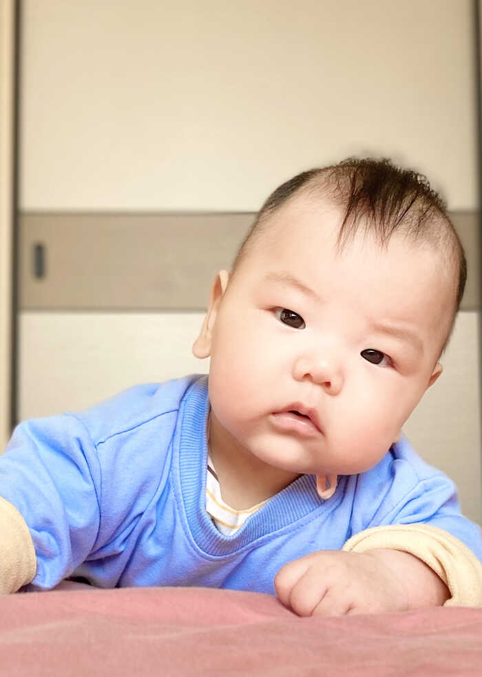 模特-