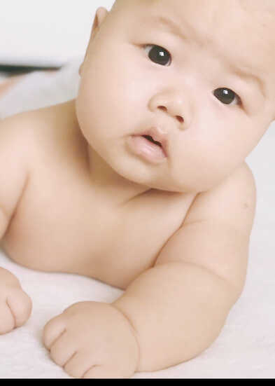 模特-