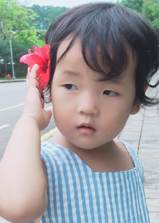 模特-