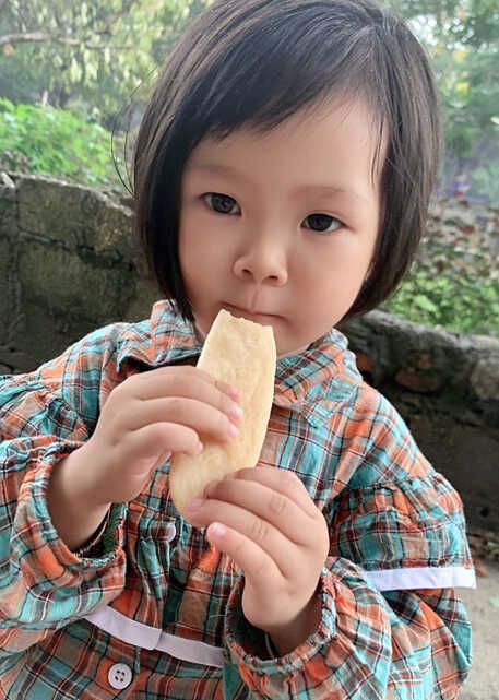 模特-