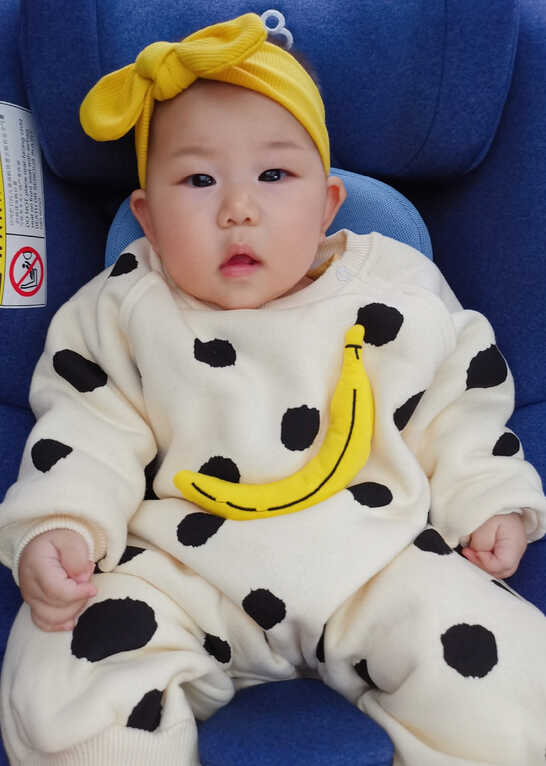 模特-