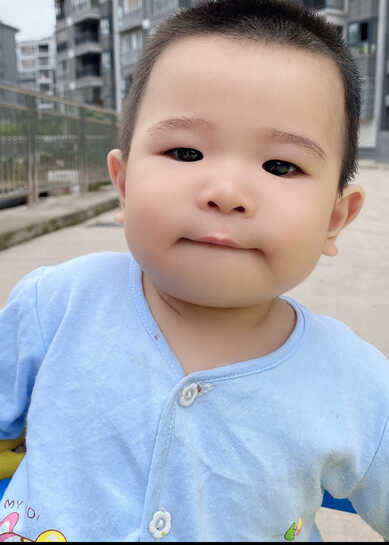 模特-
