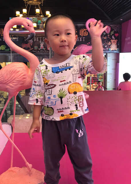 模特-