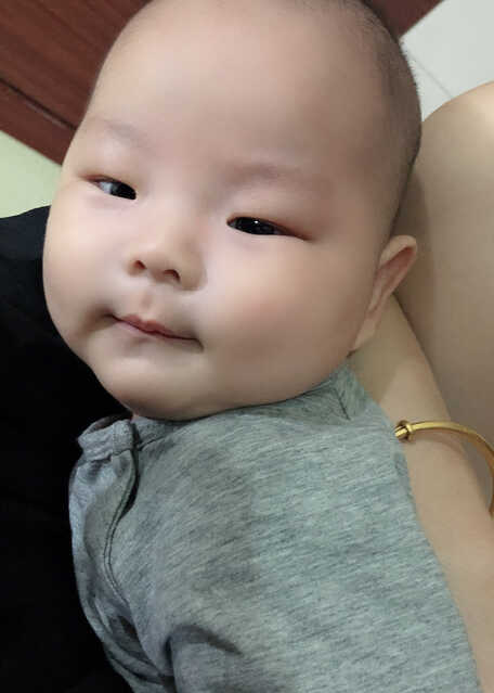 模特-
