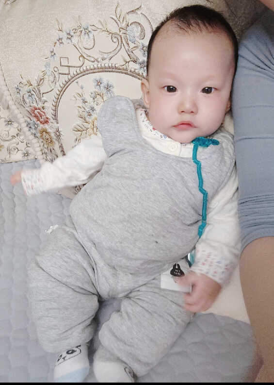 模特-