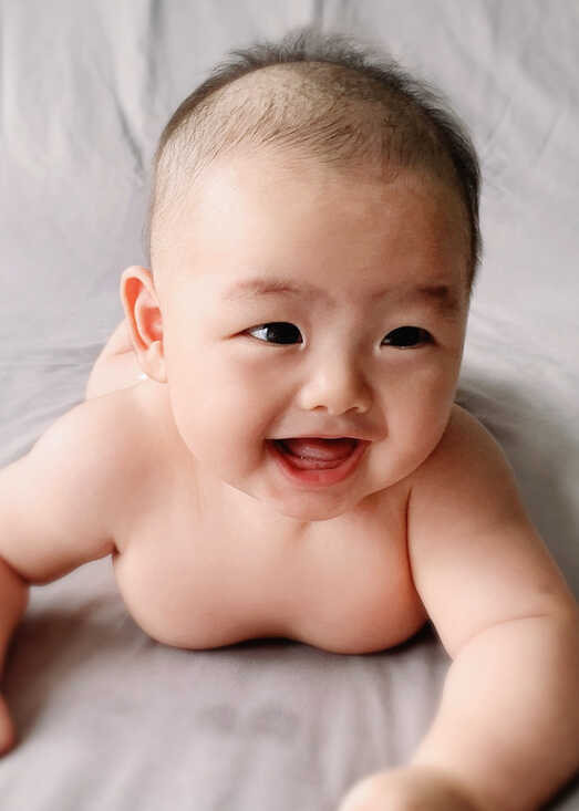 模特-