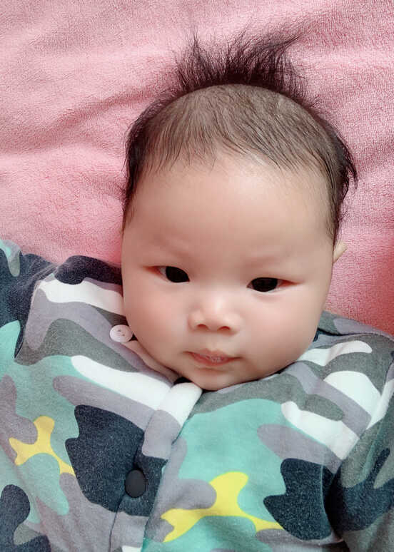 模特-