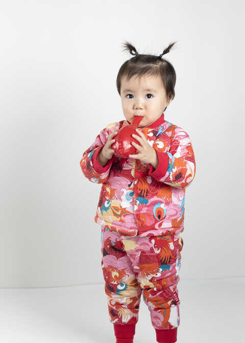 模特-