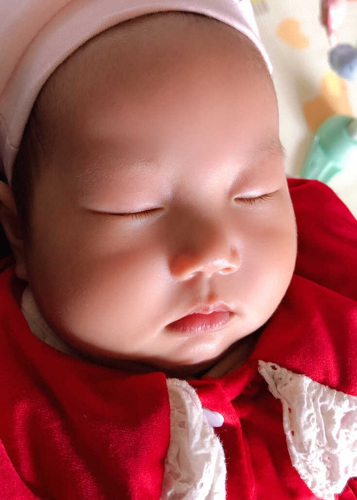 模特-