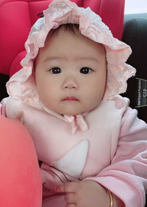 模特-