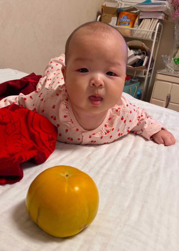 模特-