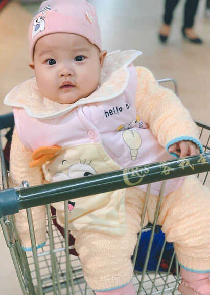 模特-