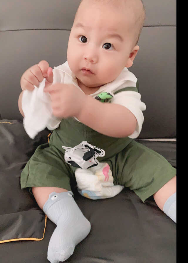 模特-