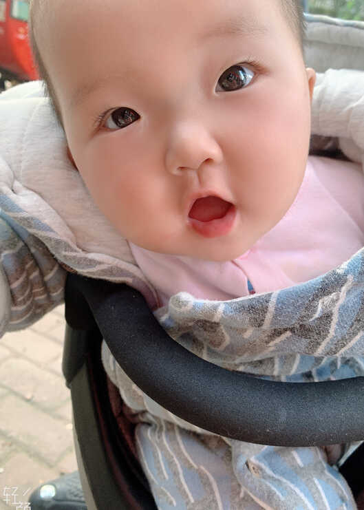 模特-