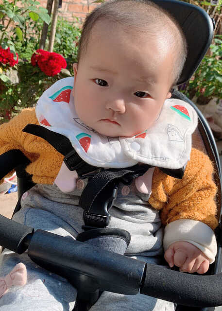 模特-