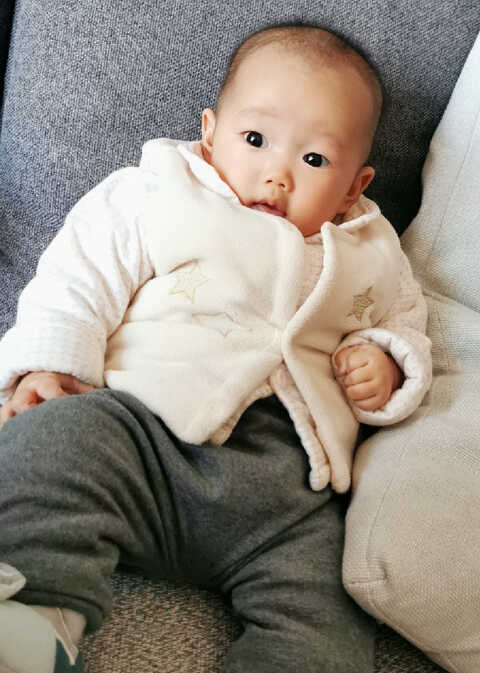 模特-