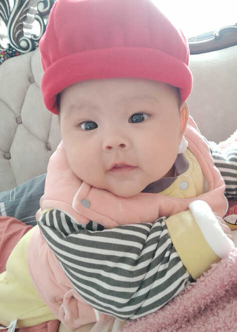 模特-