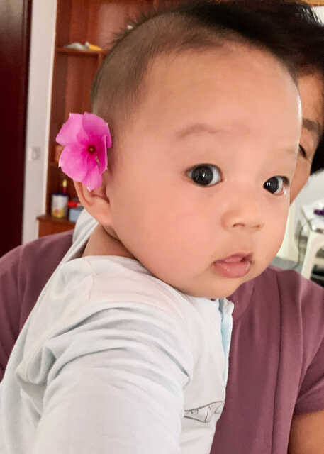 模特-