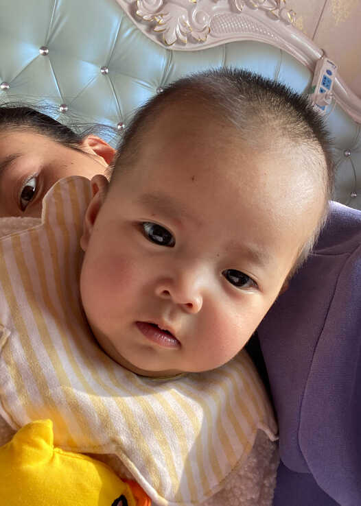 模特-