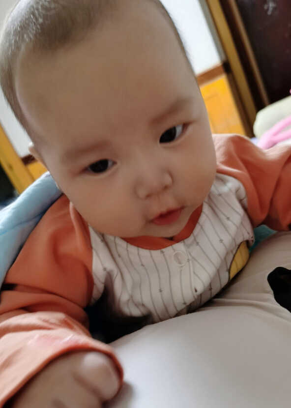 模特-