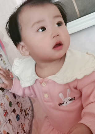 模特-