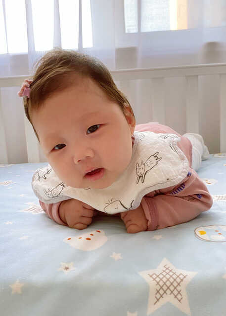 模特-