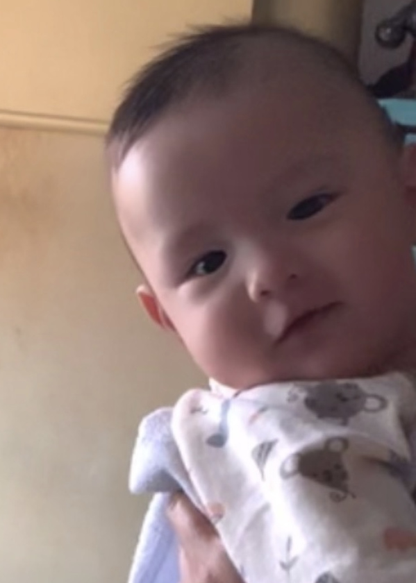模特-