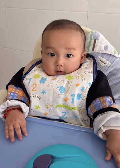 模特-