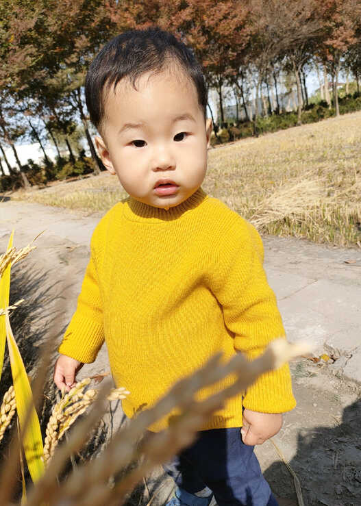 模特-