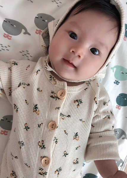 模特-