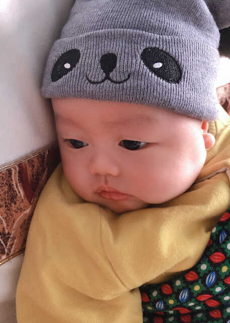 模特-
