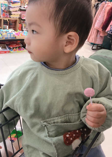 模特-