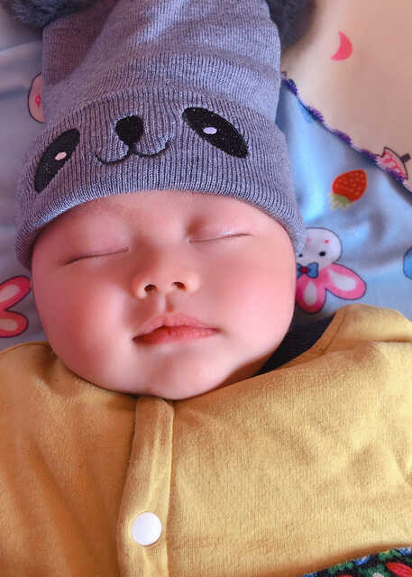 模特-