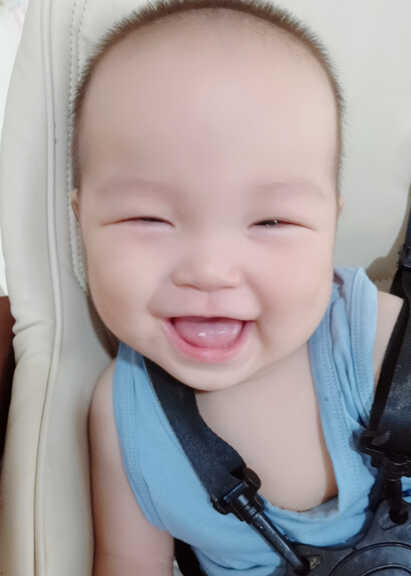 模特-