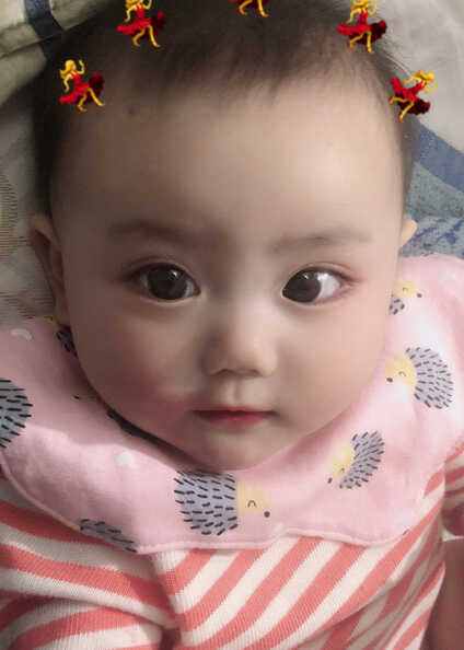 模特-