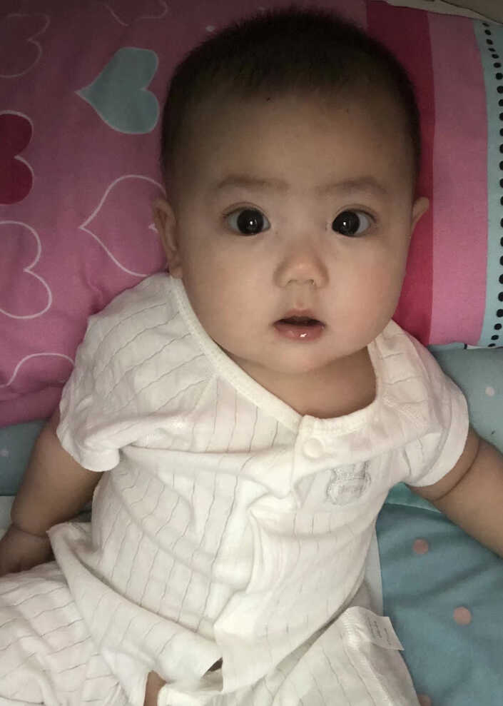 模特-